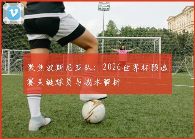 聚焦波斯尼亚队：2026世界杯预选赛关键球员与战术解析