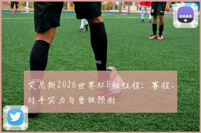 突尼斯2026世界杯F组征程:赛程、对手实力与晋级预测