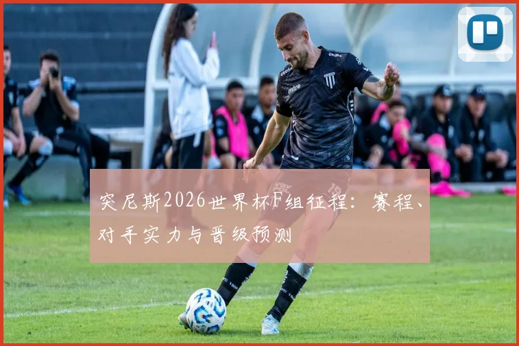 突尼斯2026世界杯F组征程：赛程、对手实力与晋级预测