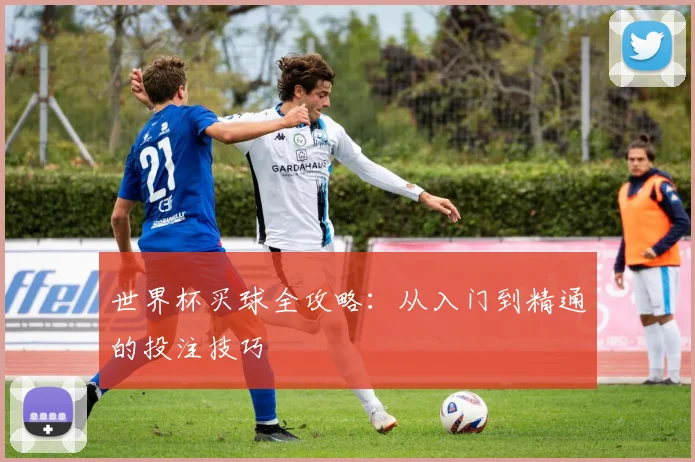 世界杯买球全攻略：从入门到精通的投注技巧