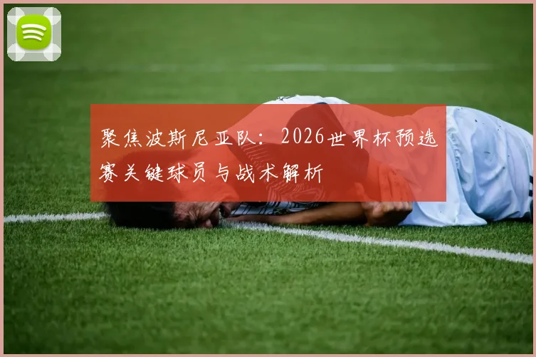 聚焦波斯尼亚队：2026世界杯预选赛关键球员与战术解析